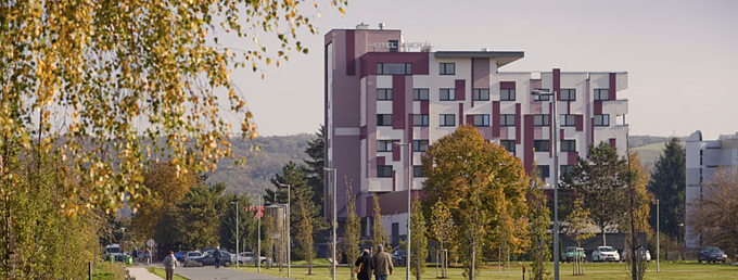 Lzesk hotel MINERL